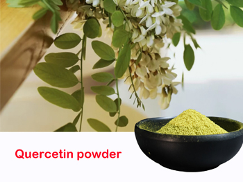 How Is Quercetin Dihydrate Different From Other Forms Of Quercetin?